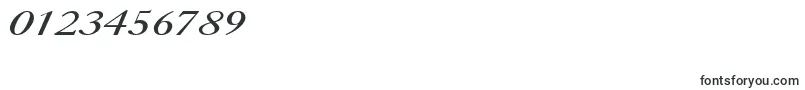 CaslonItalic.001.001-Schriftart – Schriften für Zahlen und Nummern
