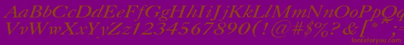 CaslonItalic.001.001 Font – Brown Fonts on Purple Background