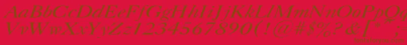 CaslonItalic.001.001 Font – Brown Fonts on Red Background