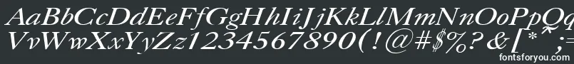 フォントCaslonItalic.001.001 – 白い文字