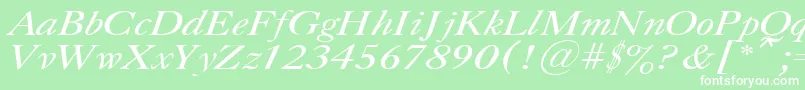 CaslonItalic.001.001 Font – White Fonts on Green Background