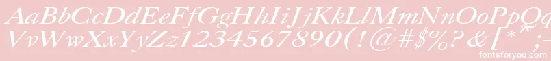 CaslonItalic.001.001 Font – White Fonts on Pink Background