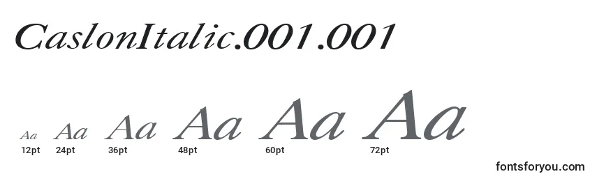 Größen der Schriftart CaslonItalic.001.001