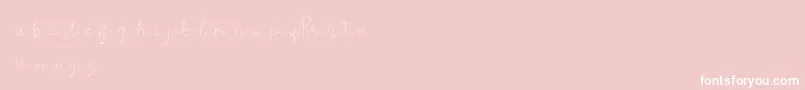 RosseDemo Font – White Fonts on Pink Background