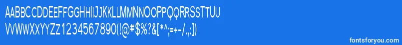 Florsn21 Font – White Fonts on Blue Background