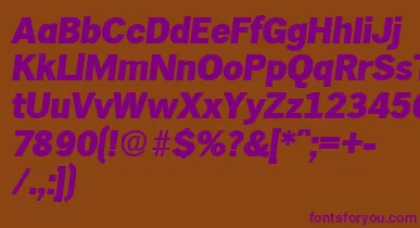 HamburgExtraboldita font – Purple Fonts On Brown Background