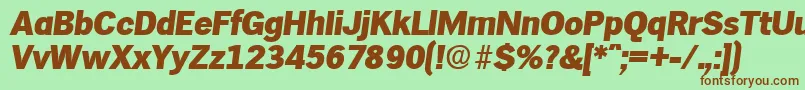 HamburgExtraboldita Font – Brown Fonts on Green Background