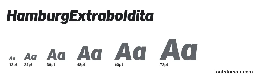HamburgExtraboldita font sizes