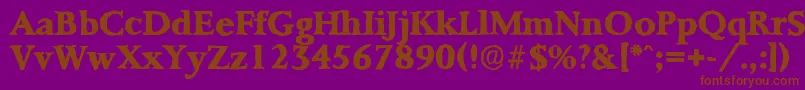Czcionka PalermoantiqueXboldRegular – brązowe czcionki na fioletowym tle