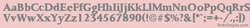 PalermoantiqueXboldRegular Font – Gray Fonts on Pink Background