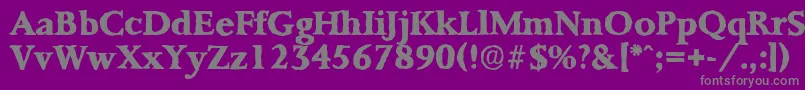 PalermoantiqueXboldRegular Font – Gray Fonts on Purple Background
