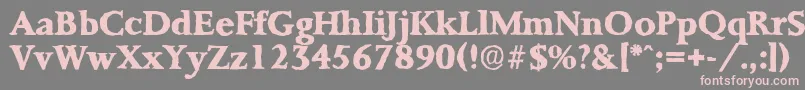 フォントPalermoantiqueXboldRegular – 灰色の背景にピンクのフォント