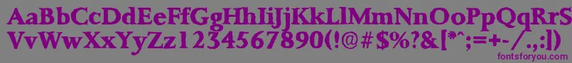 PalermoantiqueXboldRegular-Schriftart – Violette Schriften auf grauem Hintergrund