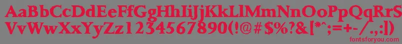 PalermoantiqueXboldRegular Font – Red Fonts on Gray Background