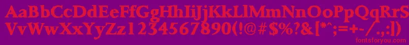 PalermoantiqueXboldRegular Font – Red Fonts on Purple Background