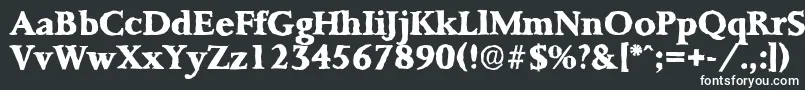 フォントPalermoantiqueXboldRegular – 黒い背景に白い文字
