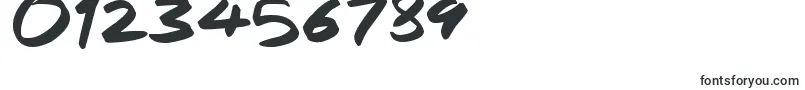 RapidInks Font – Fonts for Numbers and Digits