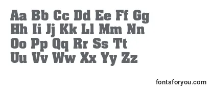 Review of the Adamantc Font
