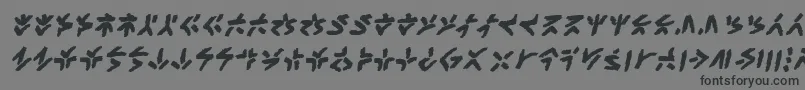 XenotribalbbBld Font – Black Fonts on Gray Background