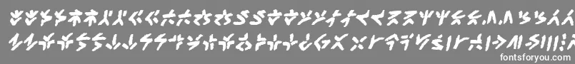 XenotribalbbBld Font – White Fonts on Gray Background