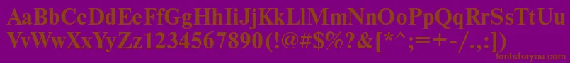 NewtonkoicttBold Font – Brown Fonts on Purple Background