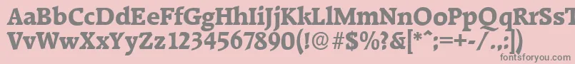 RaleighserialXboldRegular Font – Gray Fonts on Pink Background