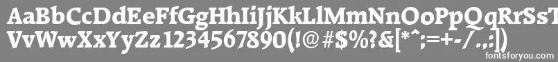 フォントRaleighserialXboldRegular – 灰色の背景に白い文字