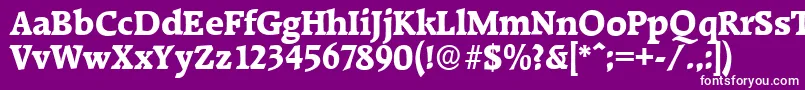 フォントRaleighserialXboldRegular – 紫の背景に白い文字