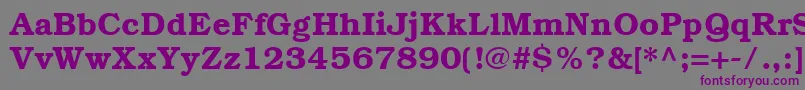 ItcBookmanCeDemi Font – Purple Fonts on Gray Background