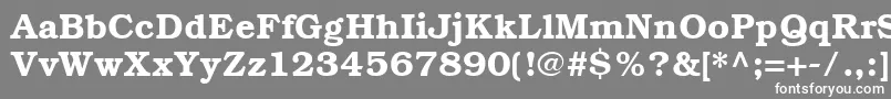 ItcBookmanCeDemi Font – White Fonts on Gray Background