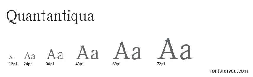 Размеры шрифта Quantantiqua