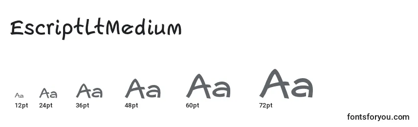 Размеры шрифта EscriptLtMedium