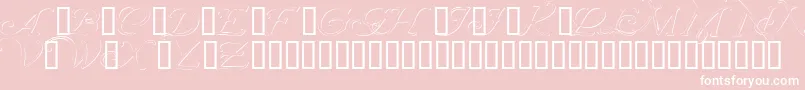 En savoir plus sur la police Wrenninitialsembossed Police Wrenninitialsembossed – polices blanches sur fond rose