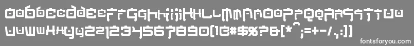フォントNipponTechCondensedBold – 灰色の背景に白い文字