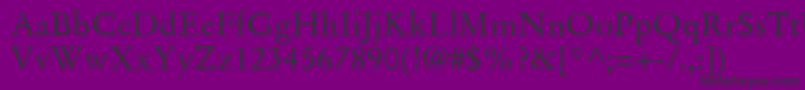 StempelGaramondLtRoman Font – Black Fonts on Purple Background