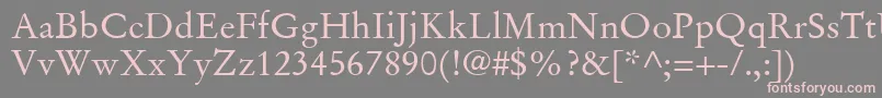 StempelGaramondLtRoman Font – Pink Fonts on Gray Background