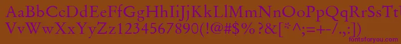 StempelGaramondLtRoman Font – Purple Fonts on Brown Background