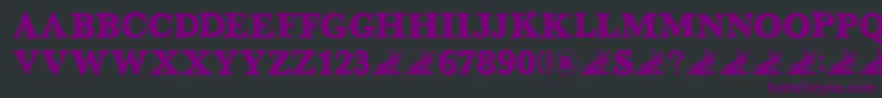 DkGreyfriars-Schriftart – Violette Schriften auf schwarzem Hintergrund