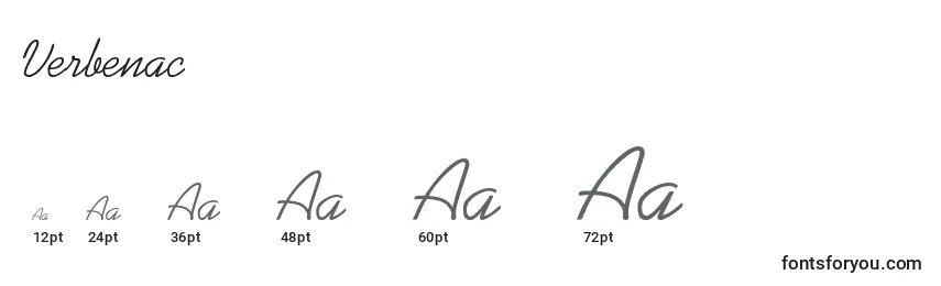Verbenac Font Sizes