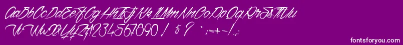 VentillaStone Font – White Fonts on Purple Background
