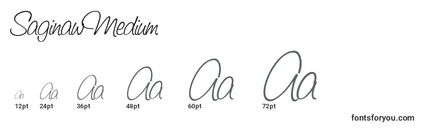 sizes of saginawmedium font, saginawmedium sizes