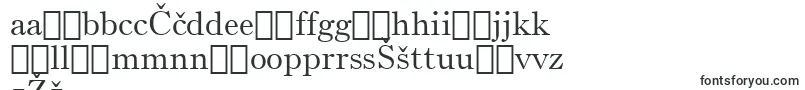 BruceOldStyleBt-Schriftart – lettische Schriften
