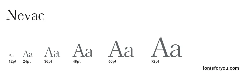 Nevac Font Sizes