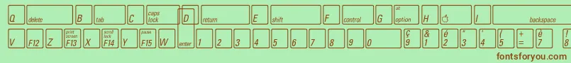 Шрифт KeyfontfrenchBold – коричневые шрифты на зелёном фоне