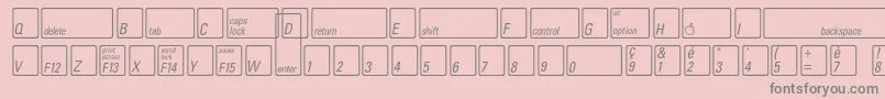 フォントKeyfontfrenchBold – ピンクの背景に灰色の文字