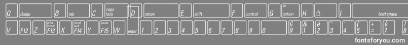 KeyfontfrenchBold Font – White Fonts on Gray Background