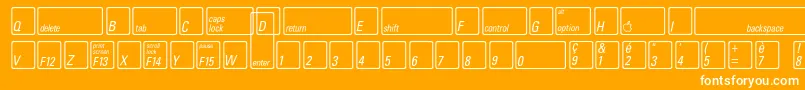 Шрифт KeyfontfrenchBold – белые шрифты на оранжевом фоне