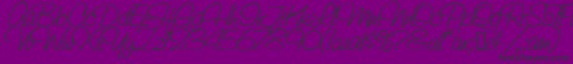 SaginawMedium Font – Black Fonts on Purple Background