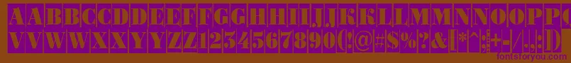 ABodoniortonrttlcm Font – Purple Fonts on Brown Background