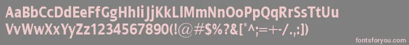 DialogCondBold Font – Pink Fonts on Gray Background